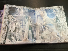 Load image into Gallery viewer, Windows at Bergdorf Goodman Special Edition Book in Slipcover by Assouline 2012